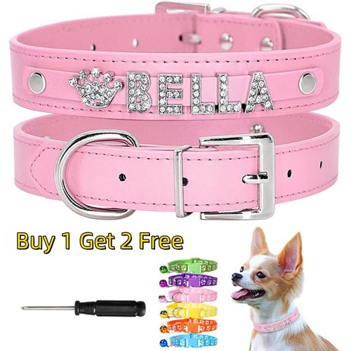 Collare personalizzato cane
