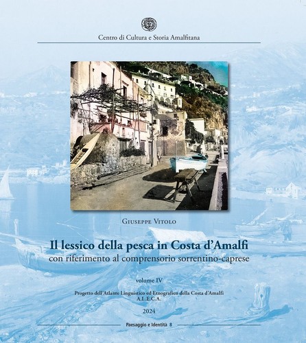 Libri giuseppe vitolo - libri,