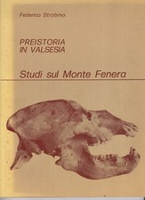 Libro Preistoria in Valsesia