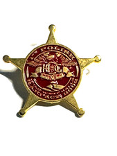 PIN - HARLEY DAVIDSON - 1°