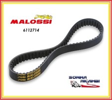 6112714 Cinghia MALOSSI X K