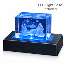 Cubo serbatoio pesci cristallo