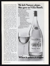 1977 Villa Banfi Roman White