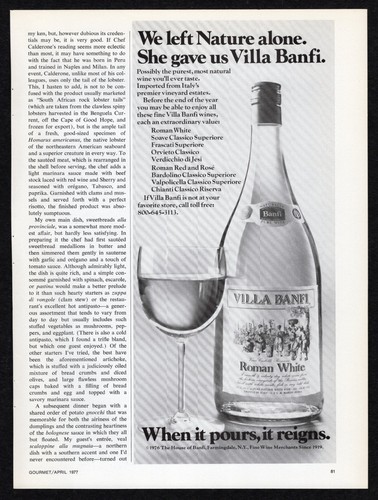 Pubblicità stampa vigna - stampa,