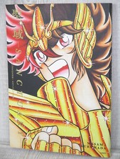 SAINT SEIYA 30° Anniv Art