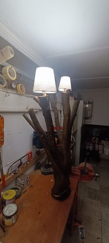 Lampada legno corbezzolo - lampada, in