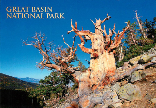Great basin national park - basin,