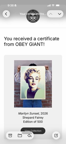 Serigrafia firmata obey giant - serigrafia,