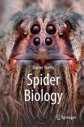 Spider biology rainer - spider, by
