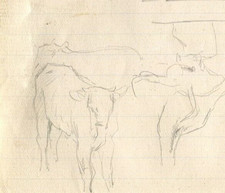 Disegno di mucche e bovini