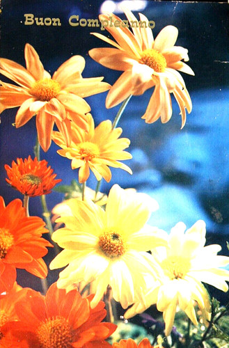 Buon compleanno fiori - compleanno,,