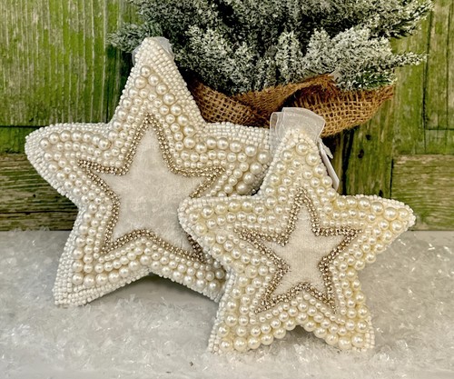 Nobile stern decorazione - stern,
