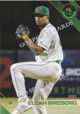 2024 Greensboro Grasshoppers Elijah Birdsong RC Rookie Pirates Minor League Card