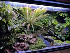 Terrario Bioattivo Per