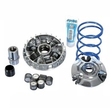 241713 VARIATORE POLINI HI
