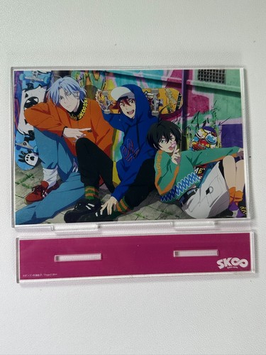 Supporto acrilico usato - , sk8