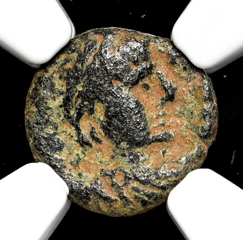 Ostrogoti atalarico 526 - atalarico., 526-534