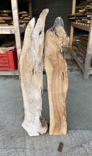 2 Tavole in legno di ulivo