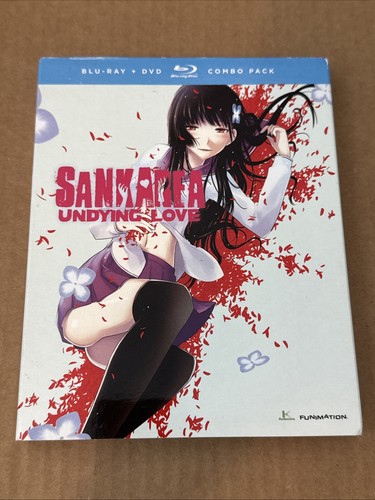 Sankarea undying love - sankarea,
