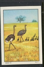 Album Nestle Serie 66 No 9