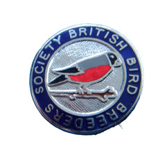 Vintage British Bird Breeders Society enamel pin badge