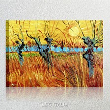 Van gogh salici tramonto - gogh,