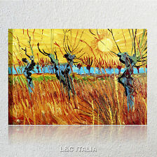 Van Gogh Salici al tramonto