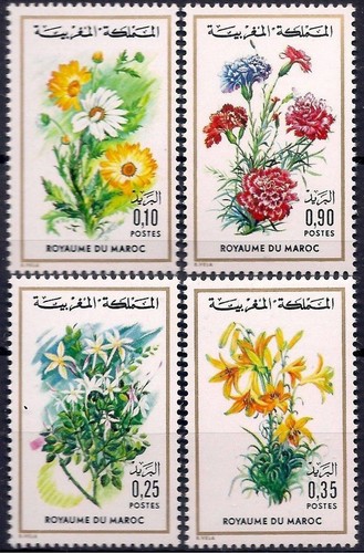 Marocco 1975 fiori - 1975, reale