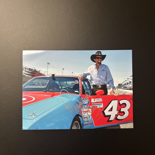 Richard petty nascar icona - nascar,