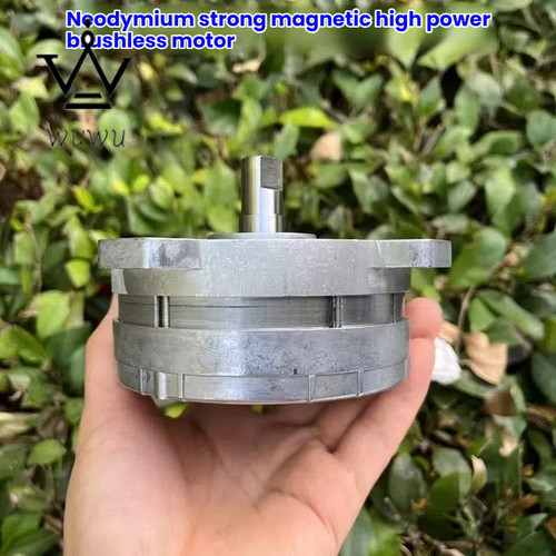 Motore brushless alta potenza - motore,
