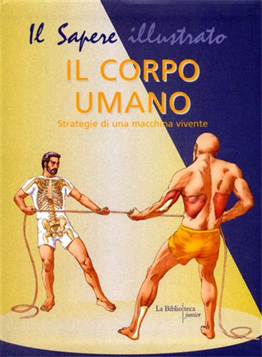 Gallavotti barbara il corpo - il,