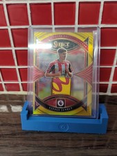 Panini Select PL Vitaly Janelt