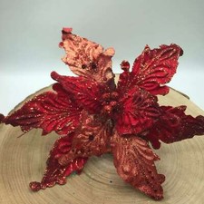 STOCK 5 Stelle di Natale Rosse