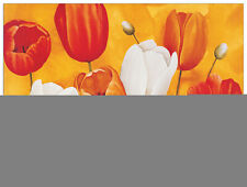 Pannello MDF-Festa Di