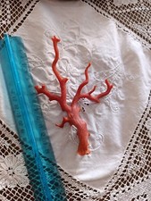 Ramo di corallo rosso