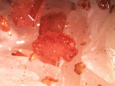 VANADINITE RARA MICROMONTA MINERALE DEL MAROCCO