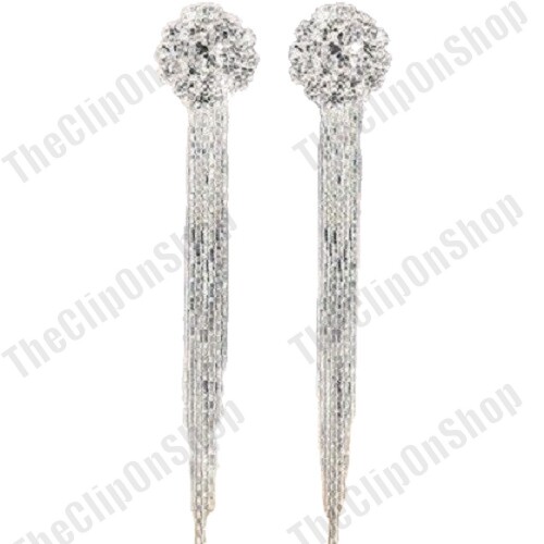 Orecchini argento pendenti - argento,