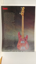 CHITARRA BASSO PAISLEY FENDER