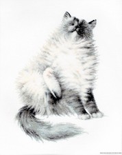 Luca-S LB2269 - Schema Punto Croce contato Motivo Gatto Micky 27 x 9,5 cm