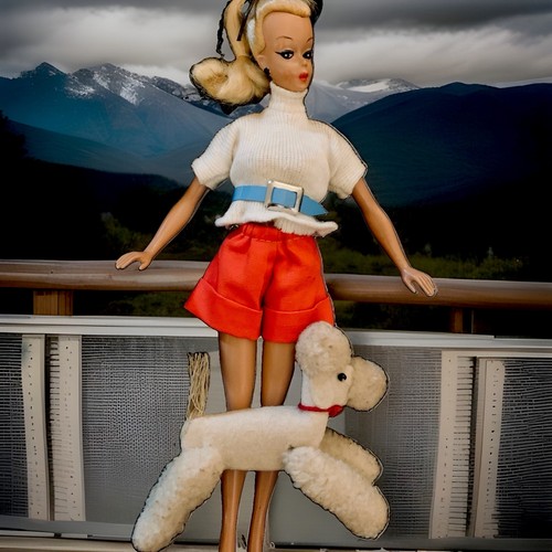 Rara bambola bild lilli - rara,
