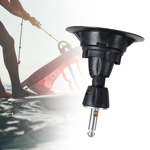 Base dell albero - dell'albero, windsurf
