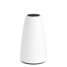 Bang & Olufsen (Denmark)