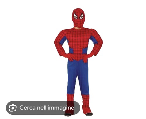 Costume carnevale spiderman - costume,