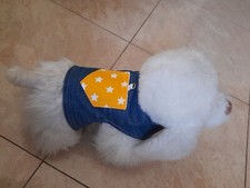 accessori per cani piccoli