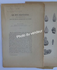 Paléobotanique: Fliche, 1899