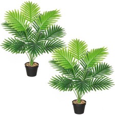 SOMYTING Piante artificiali