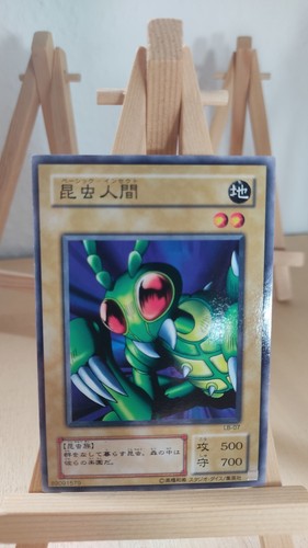 Basic insect - -,