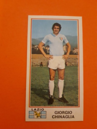 Figurina panini calciatori - figurina,