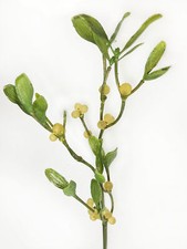 Ramo di Vischio Brinato