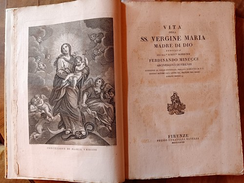 1828 vita della vergine - vita,